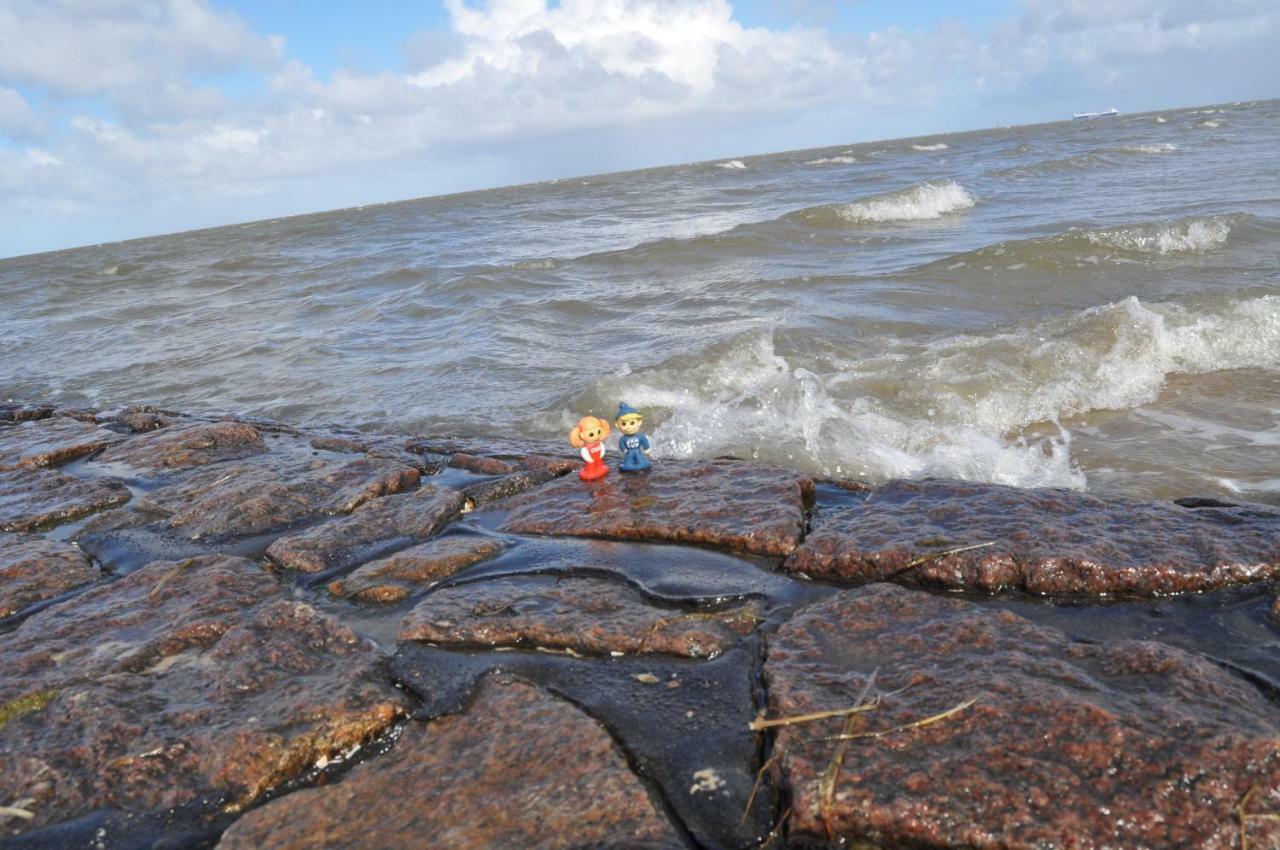 Ferienhaus Exner Hinter Dem Deich Cuxhaven Kültér fotó