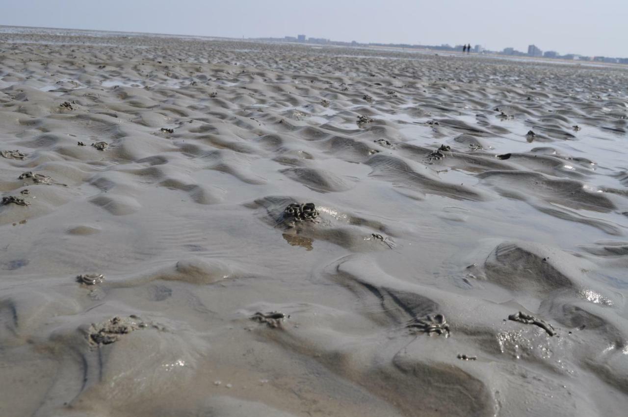 Ferienhaus Exner Hinter Dem Deich Cuxhaven Kültér fotó